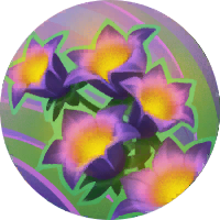 Bloom